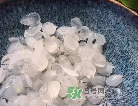 皂角米可以直接煮嗎？皂角米和什么一起煮好