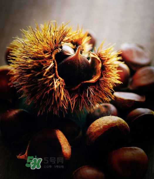 板栗能補(bǔ)腎嗎？板栗補(bǔ)腎陰還是腎陽？