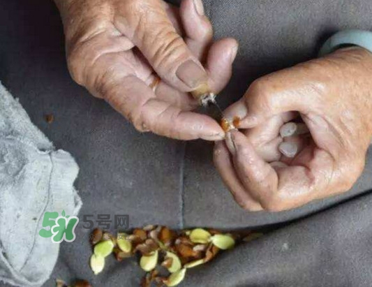 皂角米是怎么剝出來(lái)的？皂角米是酸性還是堿性