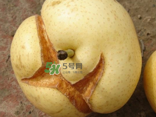 皇冠梨雞爪病能吃嗎？皇冠梨雞爪病怎么辦？