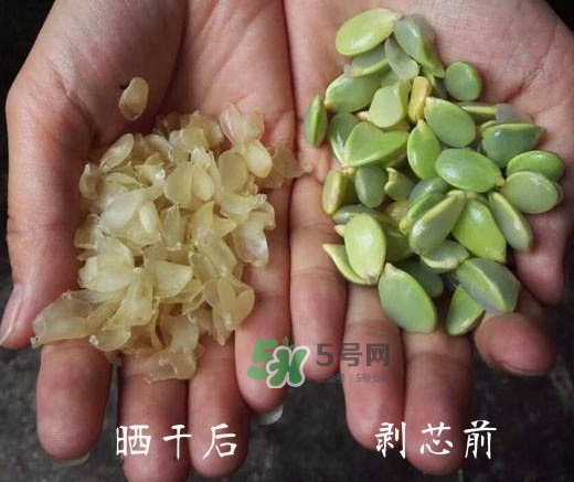 皂角米是什么味道？皂角米是什么顏色
