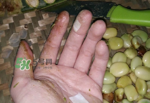 皂角米是怎么剝出來(lái)的？皂角米是酸性還是堿性