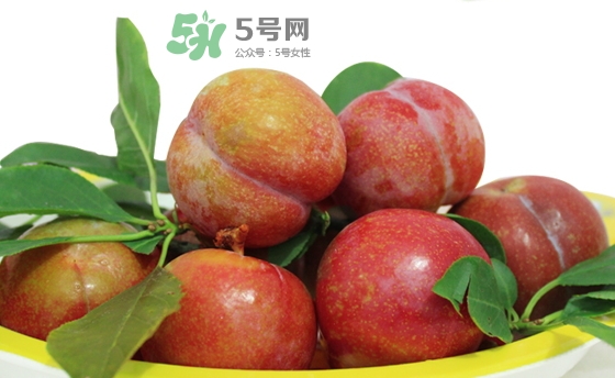 芙蓉李多少錢(qián)一斤？芙蓉李價(jià)格