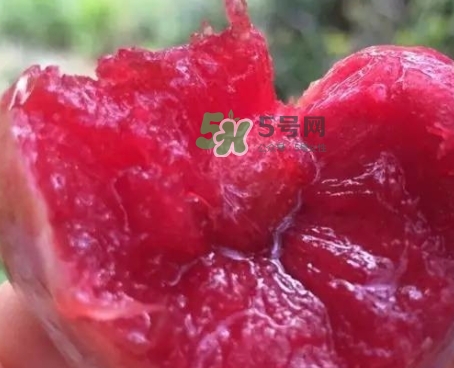 芙蓉李甜嗎？芙蓉李好吃嗎？