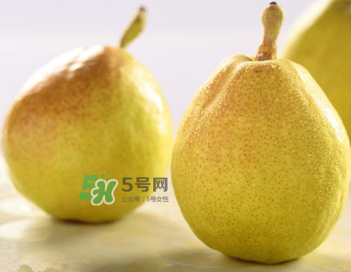 香梨能不能熬冰糖雪梨？香梨可以做冰糖雪梨嗎？