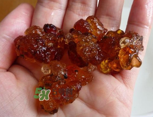 桃膠哪里有賣的？哪里產(chǎn)的桃膠最好
