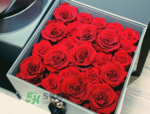 roseonly怎么買？roseonly如何買第二次？