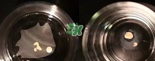 資生堂智能持久粉底液怎么樣？資生堂智能粉底液怎么用