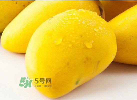 有胃病的人能吃芒果嗎？吃芒果對胃有刺激嗎？