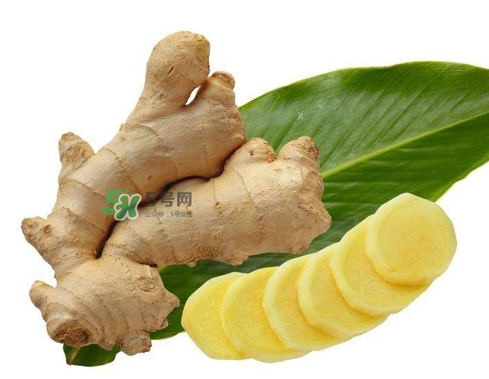 胃病患者可以長期食用生姜嗎？胃不好能不能吃姜？