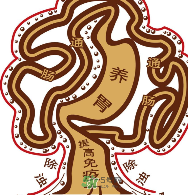 腸胃不好會引起頭暈嗎？頭暈與腸胃不好有關(guān)系嗎？