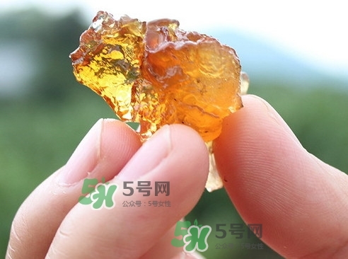 桃膠可以和什么一起煮？桃膠不能和什么一起吃