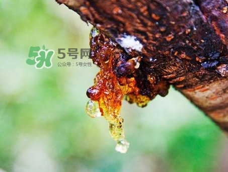 桃膠是發(fā)物嗎？桃膠是中藥嗎