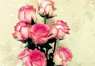 roseonly怎么讀？roseonly怎么讀在線讀？