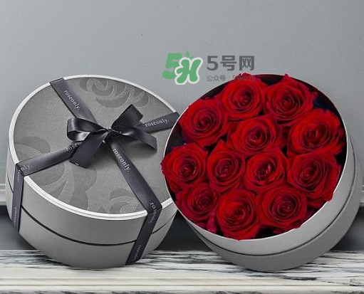 roseonly怎么讀？roseonly怎么讀在線讀？