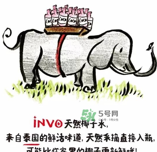 invo椰子水多少錢？invo椰子水好喝嗎？
