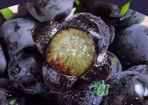 戶太八號多少錢一斤？戶太八號為什么在全國很有名？