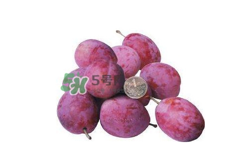 新鮮西梅好吃嗎？新鮮西梅什么味道
