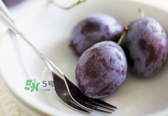 西梅怎么挑選？新鮮西梅怎么保存