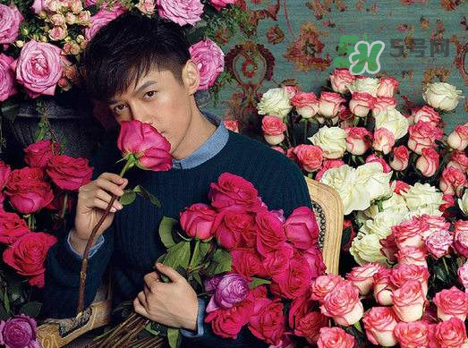 野獸派和roseonly哪個(gè)好？野獸派和roseonly區(qū)別