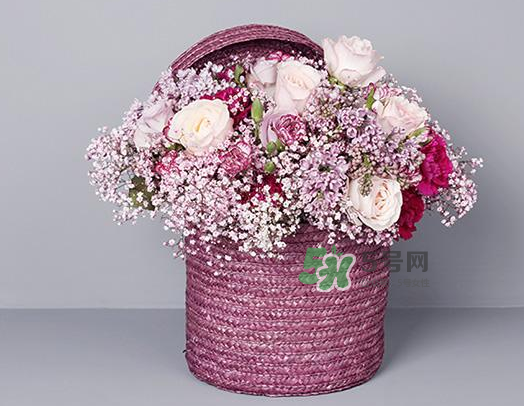 野獸派和roseonly哪個(gè)好？野獸派和roseonly區(qū)別
