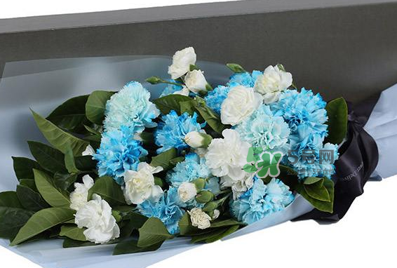 joyflower是哪國品牌？joyflower怎么樣？