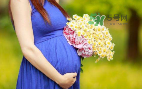 孕婦可以拔牙嗎？孕婦可以拔智齒嗎？
