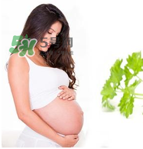 孕婦可以拔牙嗎？孕婦可以拔智齒嗎？