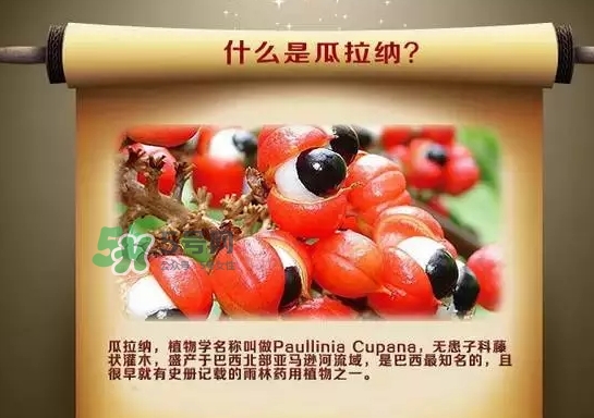 黑卡飲料多少錢一瓶？黑卡6小時價格表