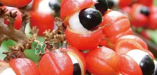 黑卡飲料多少錢一瓶？黑卡6小時價格表