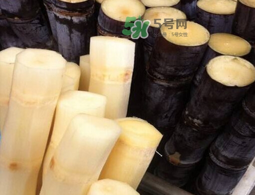 甘蔗是哪里的特產(chǎn)？甘蔗是什么地方的特產(chǎn)