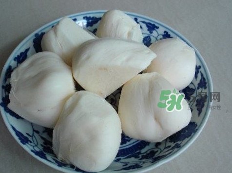 涼薯是什么東西？涼薯是地瓜嗎？