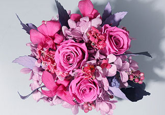 joyflower是哪國品牌？joyflower怎么樣？