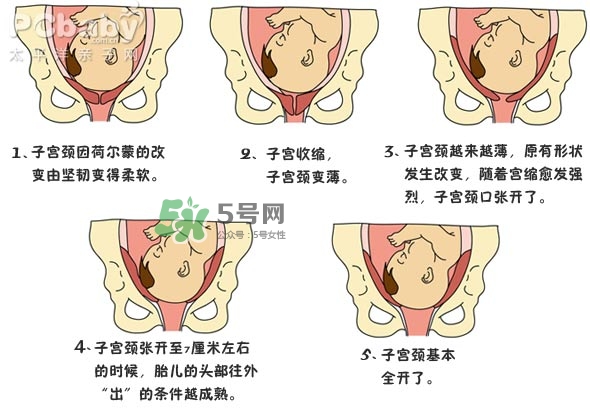生孩子的過程是怎樣的？生孩子的真實過程