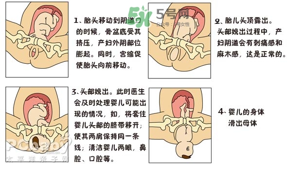 生孩子的過程是怎樣的？生孩子的真實過程