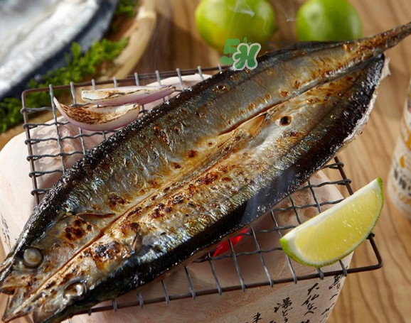 秋刀魚有刺嗎？秋刀魚刺多嗎？