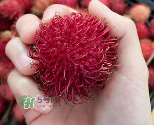 紅毛丹是什么水果？紅毛丹是熱性水果嗎？