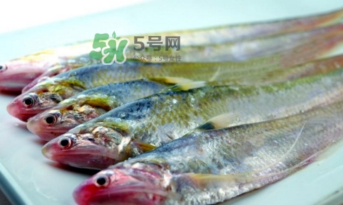 刁子魚是秋刀魚嗎？刁子魚是海魚嗎？