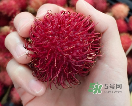 吃紅毛丹對(duì)身體有什么好處？紅毛丹有什么營養(yǎng)價(jià)值