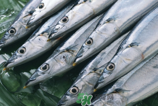 秋刀魚多少錢一斤2017？秋刀魚什么季節(jié)吃最好