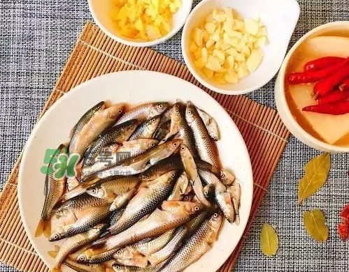 刁子魚多少錢一斤？刁子魚價(jià)格表