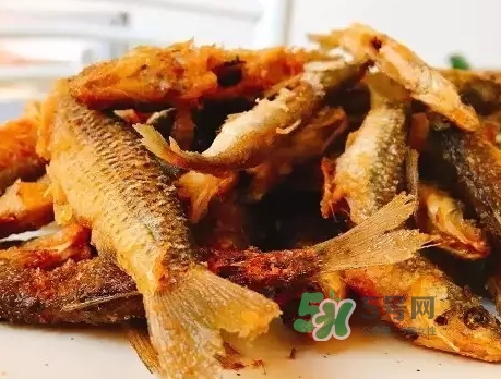 刁子魚多少錢一斤？刁子魚價(jià)格表