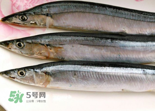 秋刀魚是不是鲅魚？秋刀魚和鲅魚的區(qū)別