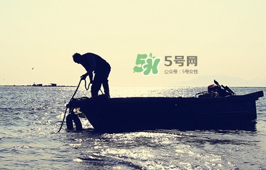 剝皮魚孕婦可以吃嗎？懷孕可以吃剝皮魚嗎？