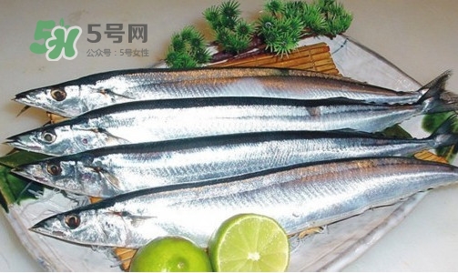 沙丁魚和秋刀魚有什么不一樣？秋刀魚和沙丁魚的區(qū)別
