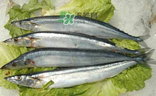 秋刀魚為什么那么便宜？秋刀魚為什么叫秋刀魚