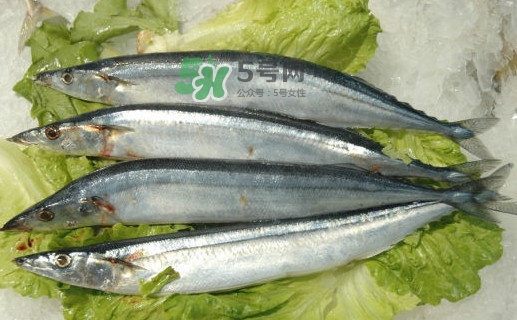 秋刀魚(yú)有魚(yú)鱗嗎？秋刀魚(yú)有寄生蟲(chóng)嗎