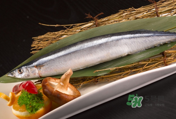 秋刀魚是不是鲅魚？秋刀魚和鲅魚的區(qū)別
