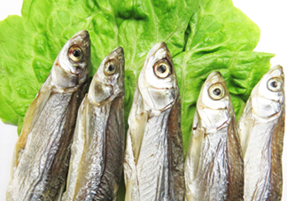 刁子魚是秋刀魚嗎？刁子魚是海魚嗎？