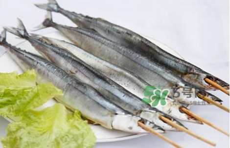 秋刀魚是海魚嗎？秋刀魚是淡水魚還是海魚